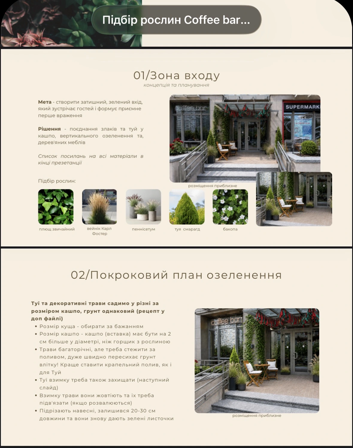 Рожева орхідея