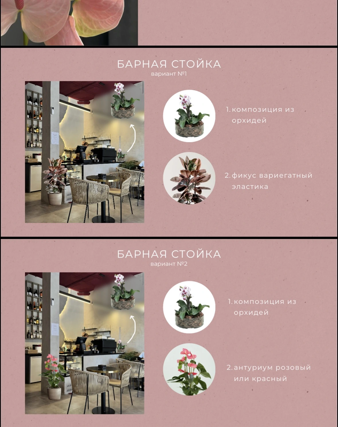Женя серед рослин